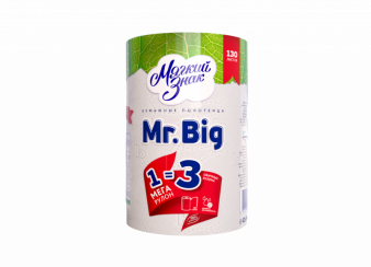 Бумажные полотенца в рулоне Мягкий знак Mr.Big 2 слойные белые в упаковке 1 рулон (артикул производителя С5)